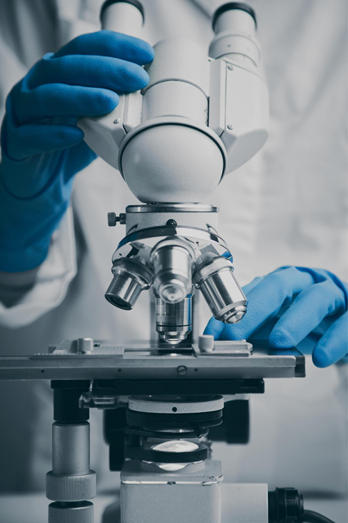 Studi Medici Istrana Laboratorio Analisi